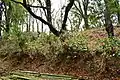 Monomiyagura Kofun