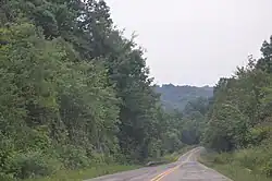 Woodland scene on County Road 851