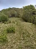 Mt. Tavagnone, slopes of Mt. Gàs, Orto locality with the spring near the dry stone wall called "Acqua del Pì" that also waters the underlying watering hole of the Battista Corsetti fund known as "Prandini"