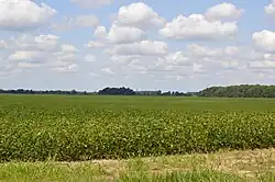 Fields northwest of New Bloomington