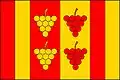 Flag of Moravská Nová Ves