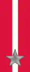 91st, 92nd Regiment "Basilicata" ("Superga")