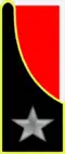 Officer commanders of hospital units