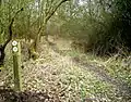 Appleton Lower Common