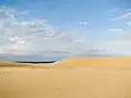 Sand dunes at Myall Lakes National Park