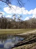 Spring flood waters between Schönau and Orth an der Donau