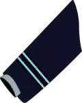 Flight Lieutenant