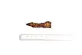 Iron nail associated with the 1967 find