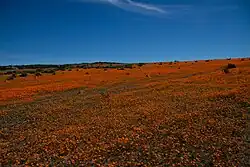 Namaqua NP3