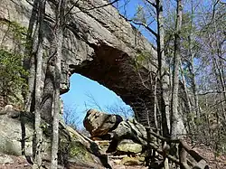 The bridge as seen at ground level.