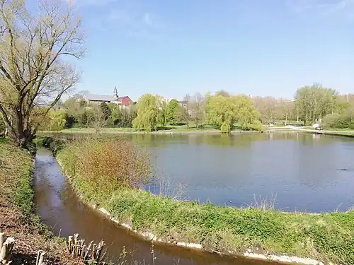 Neerpede