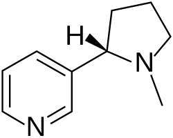 Molecular structure of nicotine