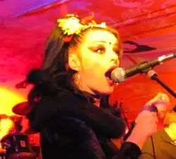 Punk musician Nina Hagen