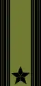 Major (Norwegian Army)[65]