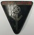 NS Frauenschaft dress pin