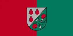 Flag of Olaine
