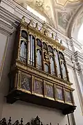 The organ