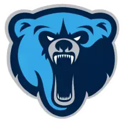 Team logo