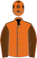 Orange, brown seams, brown sleeves, orange seams, orange cap, brown spots