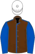 Brown, royal blue seams and sleeves, white cap