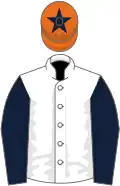 White, dark blue sleeves, orange cap, dark blue star