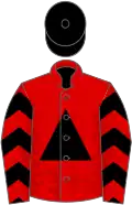 Red, black triangle, black chevrons on sleeves, black cap