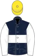 DARK BLUE, white hoop, white sleeves, yellow cap