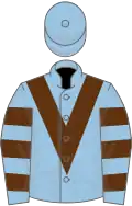 Light blue, brown chevron, hooped sleeves