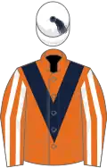 Orange, dark blue chevron, orange and white striped sleeves, white cap, dark blue tassel