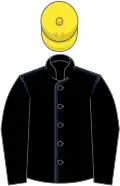 Black, dark blue seams, black sleeves, yellow cap