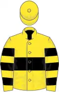 Yellow, black hoop, hooped sleeves