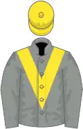 Grey, yellow chevron and cap