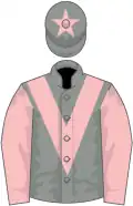 Grey, pink chevron and sleeves, star on cap