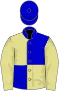 Blue and primrose (quartered), primrose sleeves, blue cap
