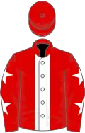 Red, white stripe and stars on sleeves