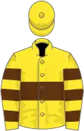 YELLOW, brown hoop, hooped sleeves, yellow cap