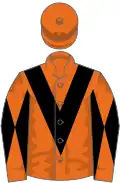 Orange, black chevron, diabolo on sleeves