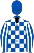 Royal blue and white check, striped sleeves, royal blue cap