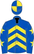 Royal blue, yellow chevrons, royal blue sleeves, yellow stars, quartered cap