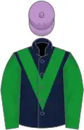 Dark blue, green chevron and sleeves, mauve cap