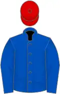 Blue, blue sleeves, red cap