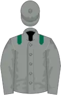 Grey, dark green epaulettes
