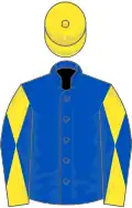 Royal blue, yellow and royal blue diabolo on sleeves, yellow cap