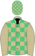 Beige and emerald green check, beige sleeves