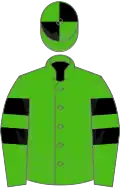 Kelly green, two black hoops on sleeves, kelly green and black quartered cap