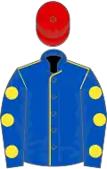 Royal Blue, Yellow seams, Royal Blue sleeves, Yellow spots, Red cap