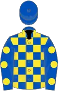 Royal blue and yellow check, royal blue sleeves, yellow spots, royal blue cap