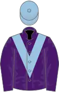 Purple, light blue chevron, light blue cap
