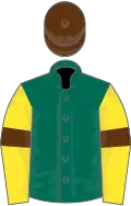 Dark green, yellow sleeves, brown armlets, brown cap
