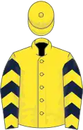 Yellow, dark blue chevrons on sleeves